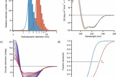 From chip shop to pit stop—scientists make cooking oil biofuel as ...