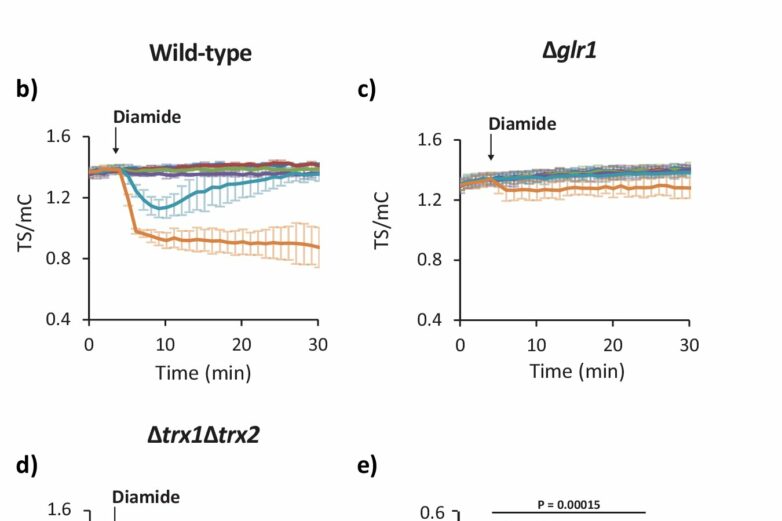 Genetically encoded biosensors measure living cells' charge in ...