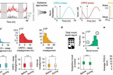 Getting in sync: Wearables reveal happiest times to sleep