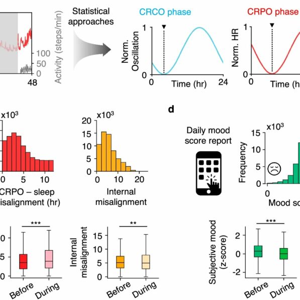 Getting in sync: Wearables reveal happiest times to sleep