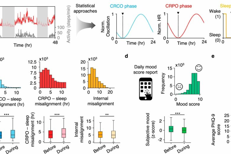 Getting in sync: Wearables reveal happiest times to sleep