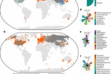 Global study reveals phenological divergence between plants and ...