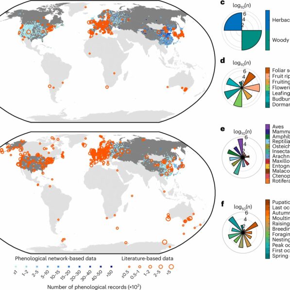 Global study reveals phenological divergence between plants and ...