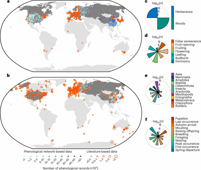 Global study reveals phenological divergence between plants and ...