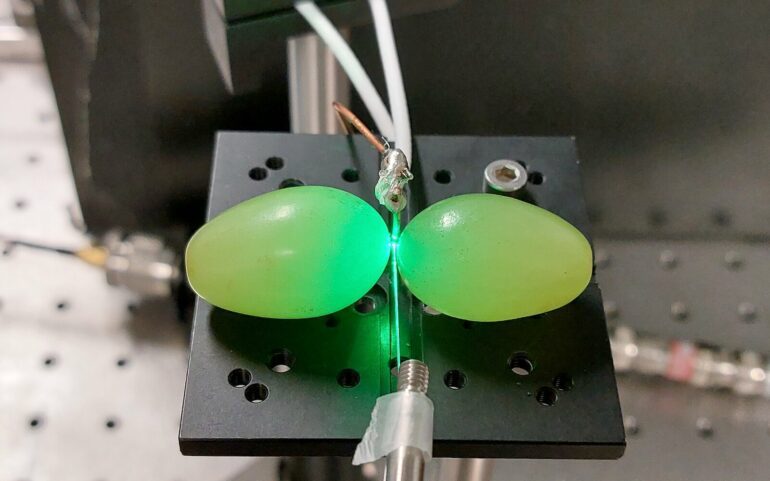 Grapes of math: Ordinary fruit enhances performance of quantum sensors