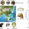 Homo juluensis: Possible new ancient human species uncovered by ...