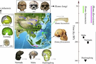 Homo juluensis: Possible new ancient human species uncovered by ...