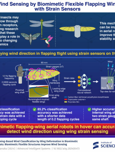 Hummingbird-inspired wings detect wind direction with 99% accuracy