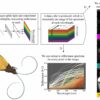 Hyperspectral imaging technique illuminates the colorful plumage ...