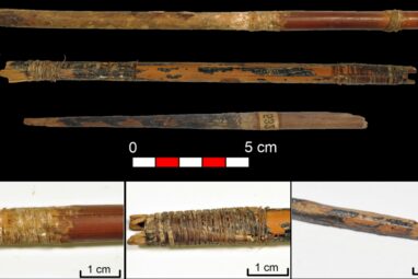 Iberian Neolithic societies had a deep knowledge of archery ...