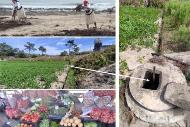 Implementing ancient agricultural practices to confront modern-day ...