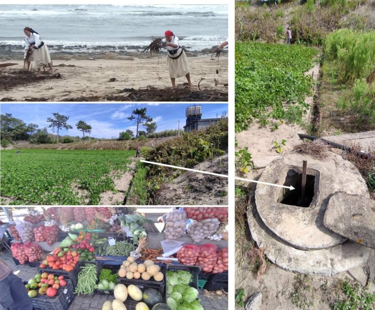 Implementing ancient agricultural practices to confront modern-day ...