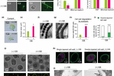 Interdisciplinary research reveals impressive adaptation ...