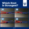 Judging knot strength throws people for a loop: Experiment reveals ...