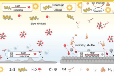 Key additives improve zinc-based rechargeable batteries for safer ...