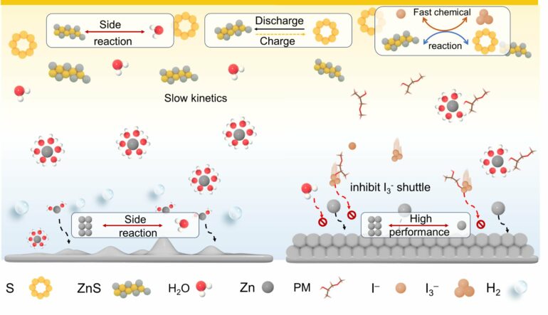 Key additives improve zinc-based rechargeable batteries for safer ...