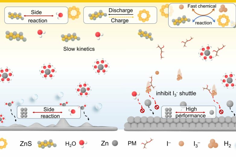 Key additives improve zinc-based rechargeable batteries for safer ...