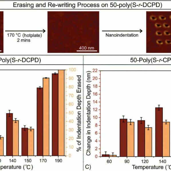 Low-cost polymer boosts high-density data storage performance and ...