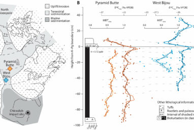 Massive volcanic eruptions did not cause the extinction of ...