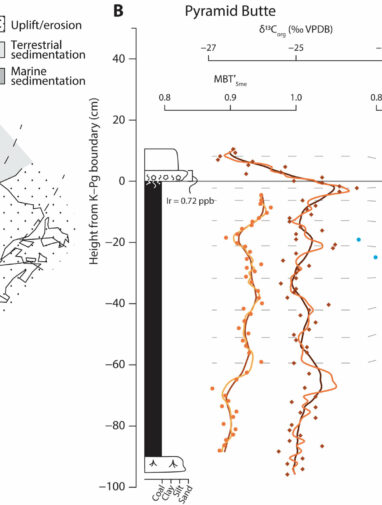 Massive volcanic eruptions did not cause the extinction of ...