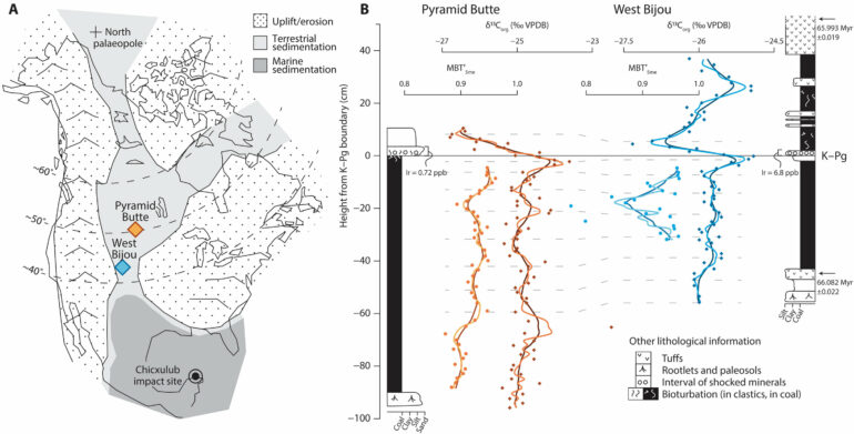 Massive volcanic eruptions did not cause the extinction of ...