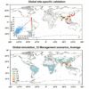 Mechanistic model validated for rice paddy methane reduction