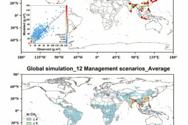 Mechanistic model validated for rice paddy methane reduction