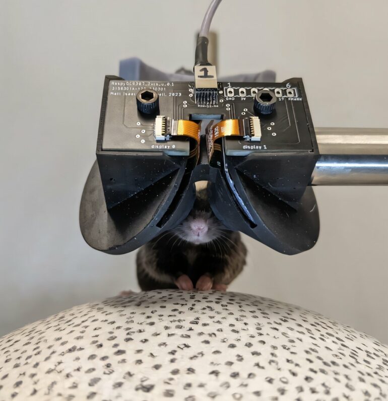 Mice headsets make it easier to study brain response to virtual realty