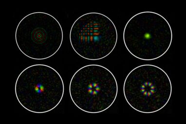 Microscopy at the tip of a hair-thin optical fiber: New approach ...