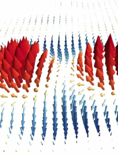 New electron microscopy technique reveals complex spin structures ...