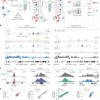 New method maps hundreds of proteins in cell nuclei simultaneously