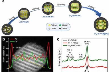 Nitrogen-doped catalyst technology could accelerate hydrogen fuel ...
