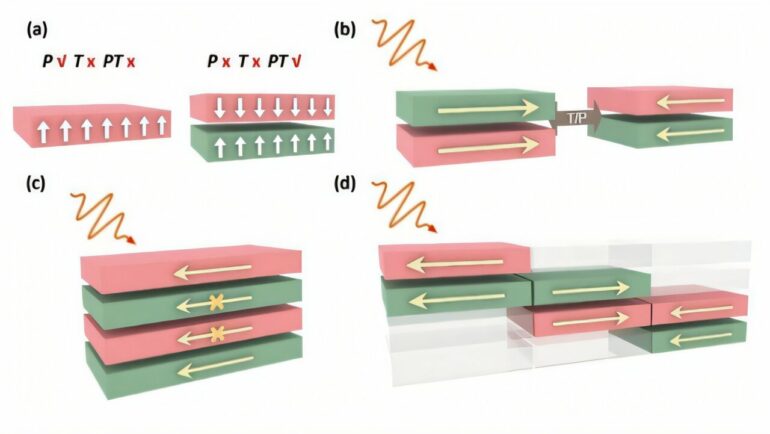 Nonlinear 'skin effect' unveiled in antiferromagnetic materials