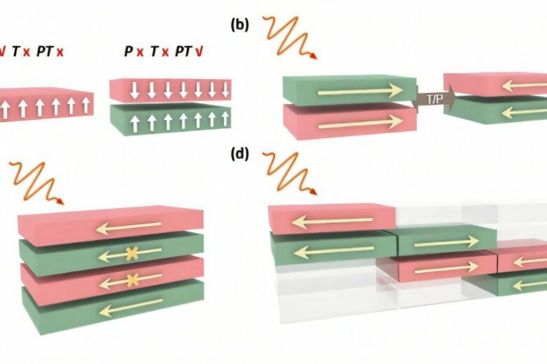 Nonlinear 'skin effect' unveiled in antiferromagnetic materials