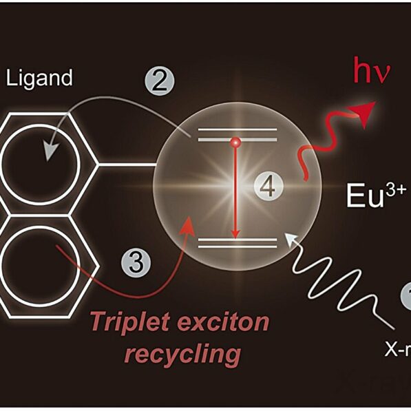 Novel molecular design achieves 1,300-fold increase in ...