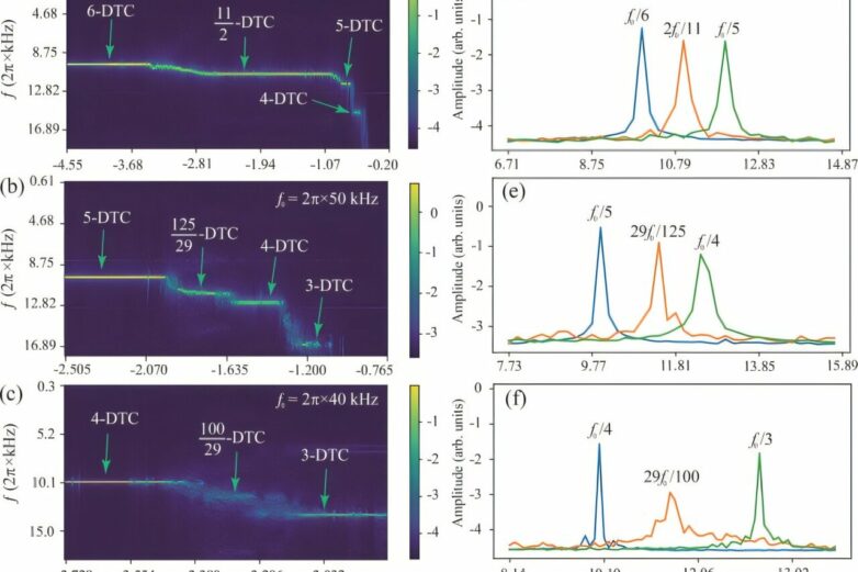 Observing higher-order and fractional discrete time crystals in ...