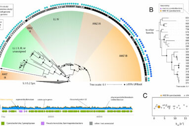 Ocean microbe's unusual pair of enzymes may boost carbon storage