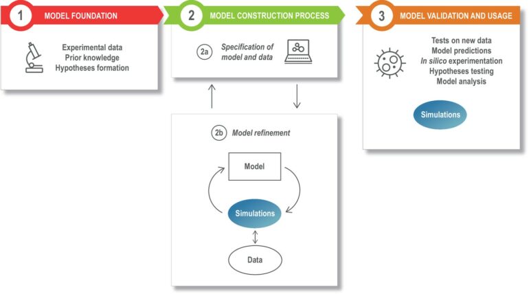 Combining hypothesis- and data-driven neuroscience modeling in ...