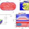 Physics experiment proves patterns in chaos in peculiar quantum realm