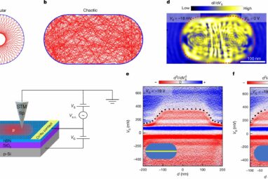 Physics experiment proves patterns in chaos in peculiar quantum realm