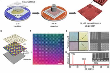 Polarization photodetector that mimics desert ant offers pathway ...