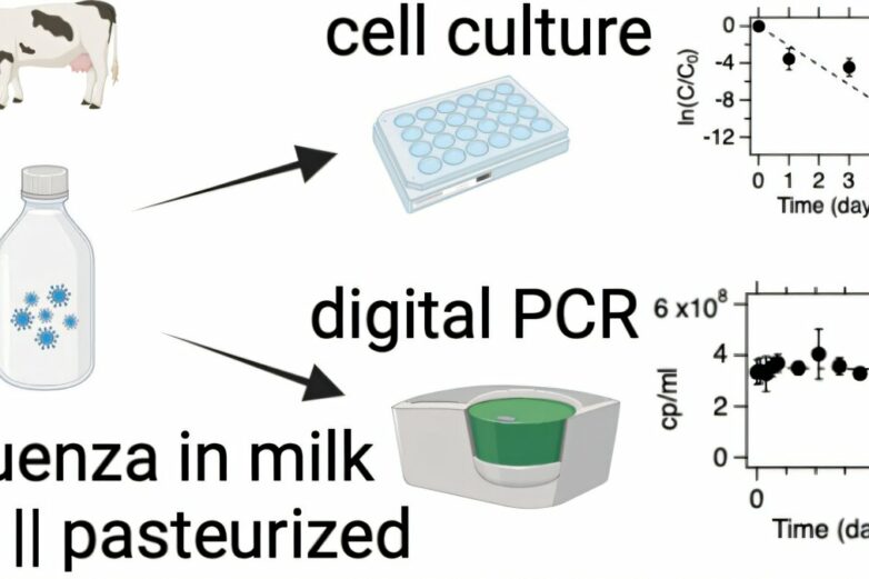 Refrigerated raw milk harbors infectious flu virus for 5 days ...