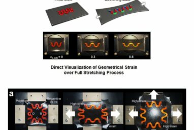 Color shifts at nanoscale: Researchers develop real-time ...