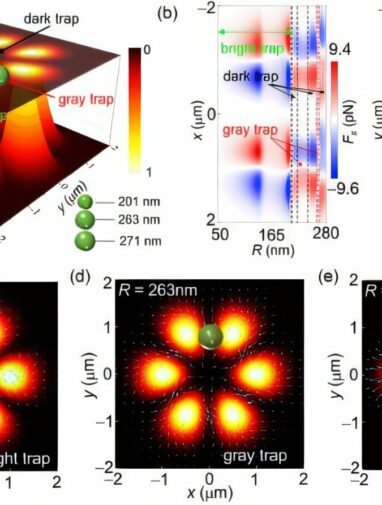 Researchers reveal full-gray optical trap in structured light