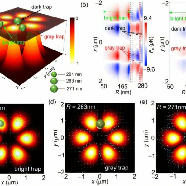 Researchers reveal full-gray optical trap in structured light