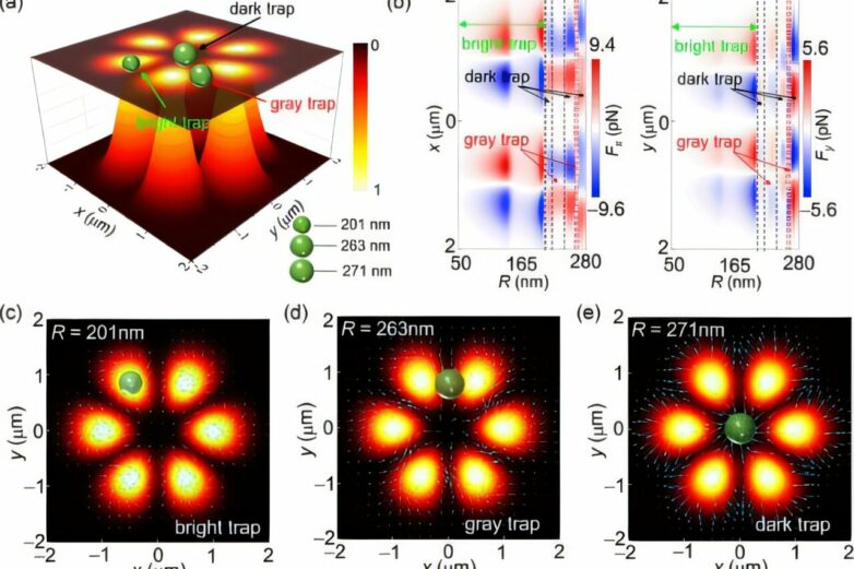 Researchers reveal full-gray optical trap in structured light