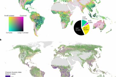 Satellite data show human fingerprint on forest disturbance across ...