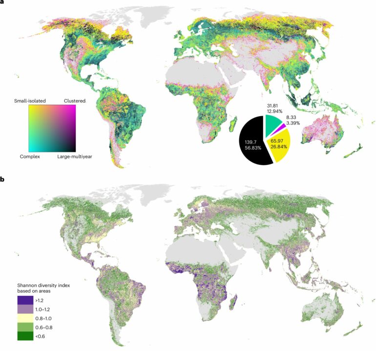 Satellite data show human fingerprint on forest disturbance across ...