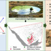 Satellite evidence points to climate-induced poisoning of over 300 ...