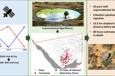 Satellite evidence points to climate-induced poisoning of over 300 ...